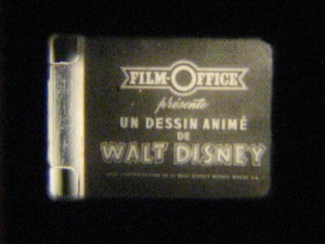 First captured frame 4.5 x 3.3 mm