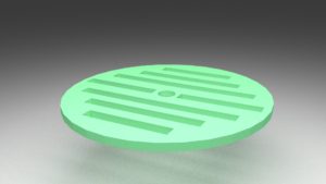 The disc
